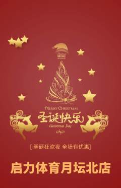 少儿体育抢购套组抢购圣诞节活动配图海报