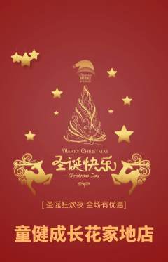 少儿体育抢购单品抢购圣诞节活动配图海报