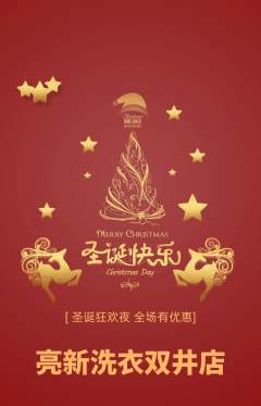 洗衣洗鞋抢购套组抢购圣诞节活动配图海报