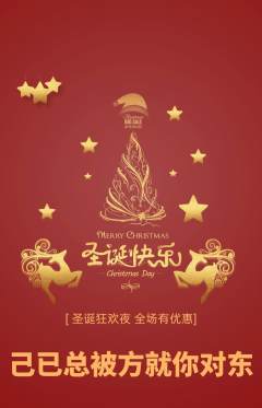 羽毛球馆抢购满血版圣诞节活动配图海报