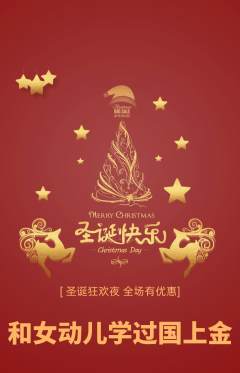 羽毛球馆抢购自选套组抢购圣诞节活动配图海报