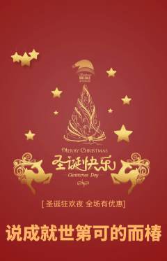 羽毛球馆抢购单品抢购圣诞节活动配图海报