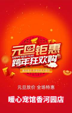 宠物店抢购套组抢购元旦活动配图海报