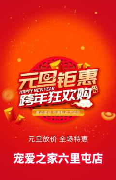 宠物店抢购自选套组抢购元旦活动配图海报