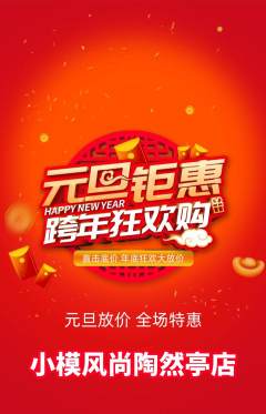 少儿模特抢购单品抢购元旦活动配图海报