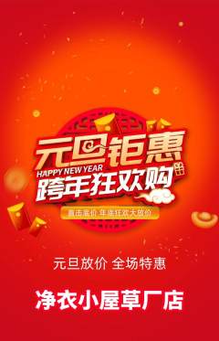 洗衣洗鞋抢购多单品抢购元旦活动配图海报