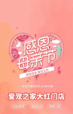 宠物店抢购多单品抢购母亲节活动配图海报