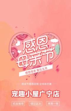 宠物店抢购套组抢购母亲节活动配图海报