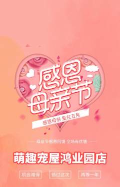 宠物店抢购自选套组抢购母亲节活动配图海报