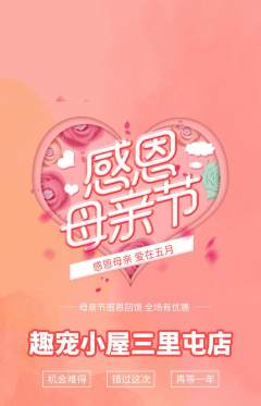宠物店抢购单品抢购母亲节活动配图海报