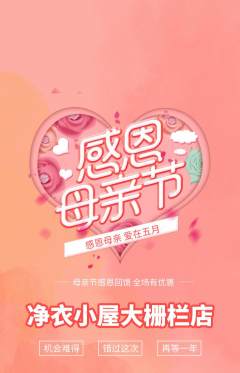 洗衣洗鞋抢购单品抢购母亲节活动配图海报
