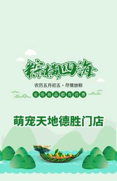 宠物店抢购套组抢购端午节活动配图海报