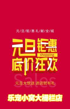 宠物店抢购多单品抢购元旦活动配图海报