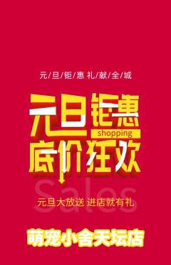 宠物店抢购单品抢购元旦活动配图海报