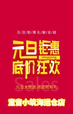 少儿乐器抢购多单品抢购元旦活动配图海报