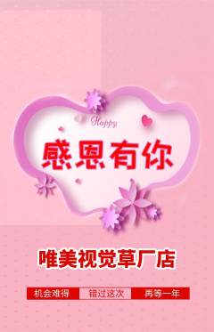 婚纱摄影抢购单品抢购感恩节活动配图海报