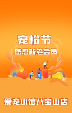 宠物店抢购套组抢购宠粉节活动配图海报