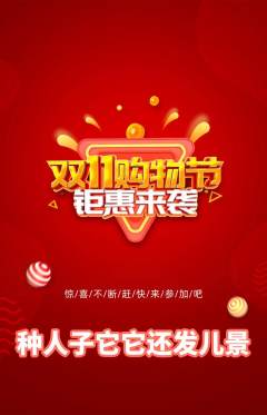 羽毛球馆抢购多单品抢购双11活动配图海报