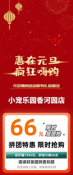 宠物店拼团满血版元旦活动配图海报