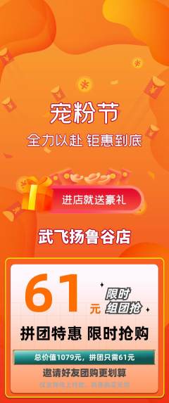 跆拳道拼团满血版宠粉节活动配图海报