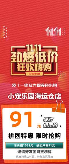 宠物店拼团满血版双11活动配图海报