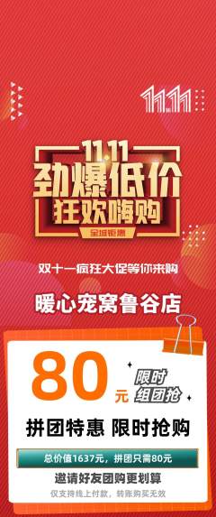 宠物店拼团商品阶梯团双11活动配图海报