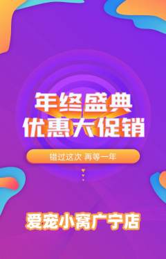宠物店抢购单品抢购年终大促活动配图海报