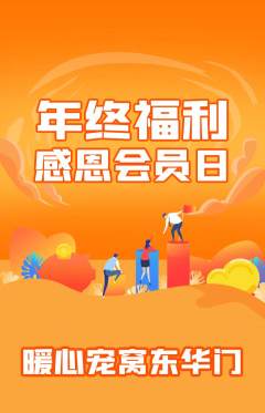 宠物店抢购套组抢购年终大促活动配图海报