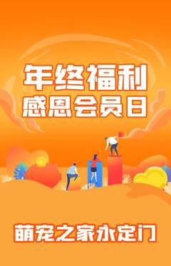 宠物店抢购单品抢购年终大促活动配图海报