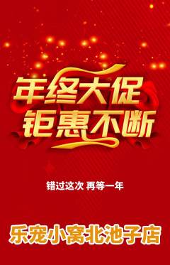 宠物店抢购套组抢购年终大促活动配图海报