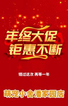 宠物店抢购自选套组抢购年终大促活动配图海报