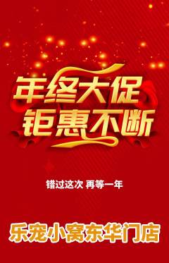 宠物店抢购单品抢购年终大促活动配图海报