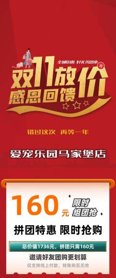 宠物店拼团价格阶梯团双11活动配图海报