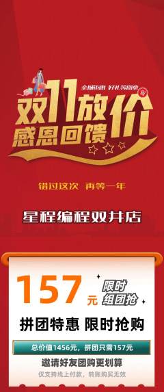 少儿编程拼团价格阶梯团双11活动配图海报