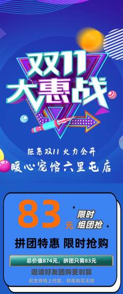 宠物店拼团满血版双11活动配图海报