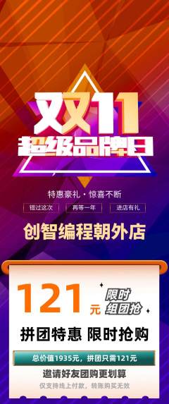 少儿编程拼团满血版双11活动配图海报