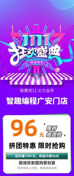 少儿编程拼团价格阶梯团双11活动配图海报