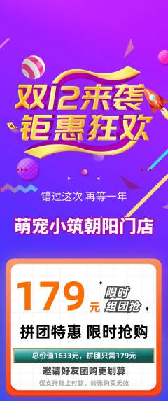 宠物店拼团满血版双12活动配图海报