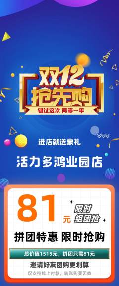 健身馆拼团价格阶梯团双12活动配图海报