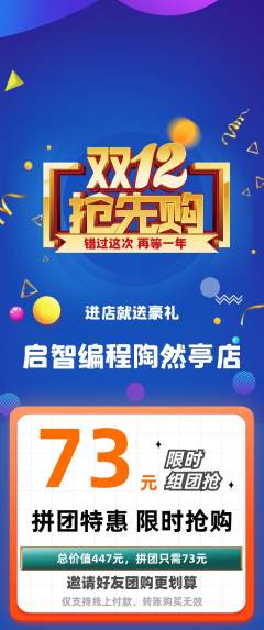 少儿编程拼团无阶梯团双12活动配图海报