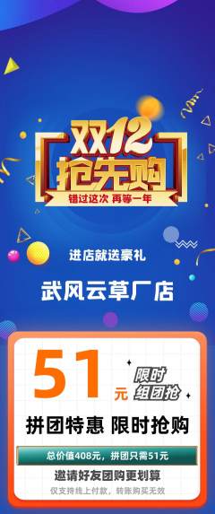 跆拳道拼团满血版双12活动配图海报