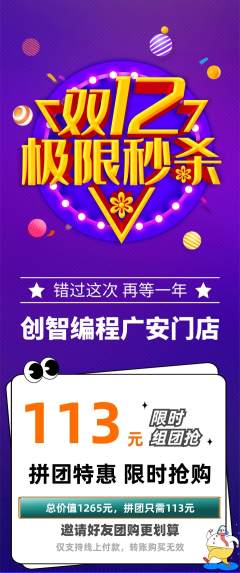少儿编程拼团满血版双12活动配图海报