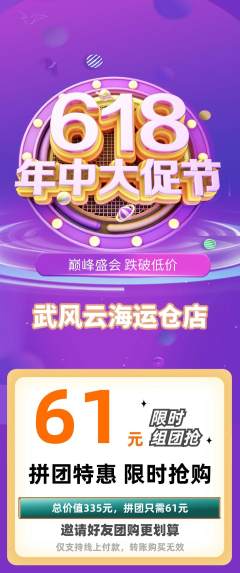 跆拳道拼团满血版年中大促活动配图海报
