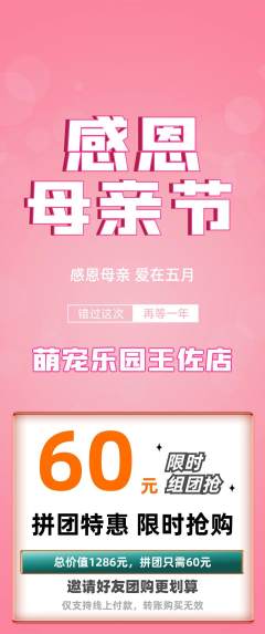 宠物店拼团价格阶梯团母亲节活动配图海报