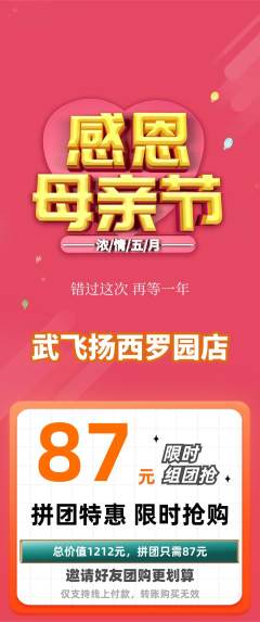 跆拳道拼团满血版母亲节活动配图海报
