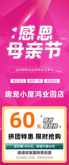 宠物店拼团商品阶梯团母亲节活动配图海报