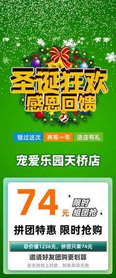 宠物店拼团无阶梯团圣诞节活动配图海报