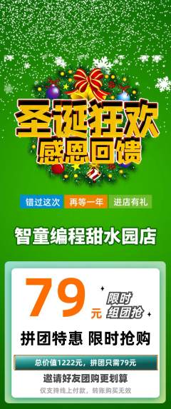少儿编程拼团价格阶梯团圣诞节活动配图海报