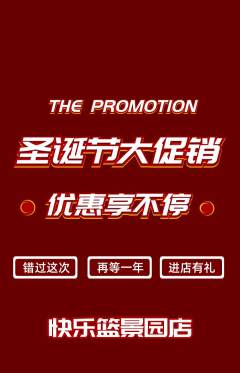 篮球馆抢购多单品抢购圣诞节活动配图海报
