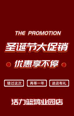 篮球馆抢购自选套组抢购圣诞节活动配图海报